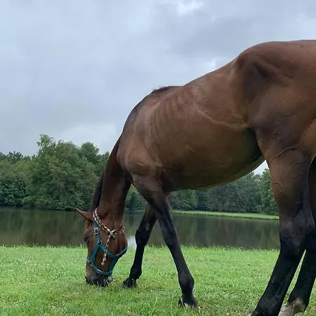 Romantic Anciens In A Beautiful Park La Fontaine-Saint-Martin