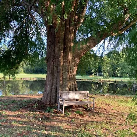 Romantic Anciens In A Beautiful Park Chalé *