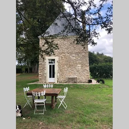 Romantic Anciens In A Beautiful Park *