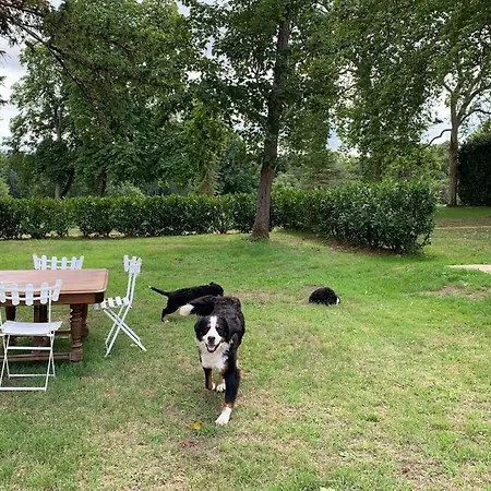 Chalé Romantic Anciens In A Beautiful Park *