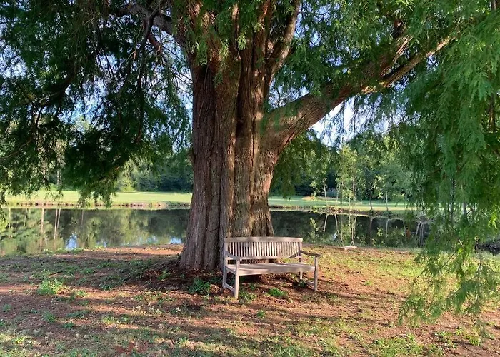 Romantic Anciens In A Beautiful Park Chalet *