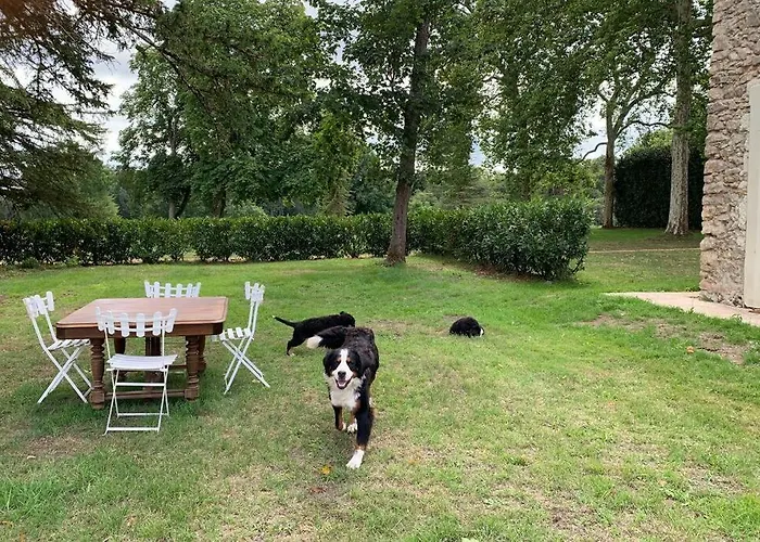 Chalet Romantic Anciens In A Beautiful Park *